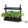 Grow Light Garden (Black) -Orchard Lane Shop 783341