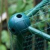 Butterfly Protection Cage -Orchard Lane Shop 784010