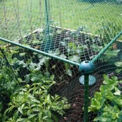 Butterfly Protection Cage -Orchard Lane Shop 784010B