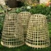 Bamboo Bell Cloche & Garden Plant Protection Cover - Medium -Orchard Lane Shop Bamboo20Cloche20pk203201000x100020850kb