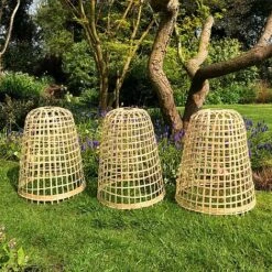 Bamboo Bell Cloche & Garden Plant Protection Cover - Medium -Orchard Lane Shop Bamboo20Cloche20pk203201000x100020942kb1