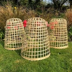 Bamboo Bell Cloche & Garden Plant Protection Cover - Small 10 Bamboo Bell Cloche & Garden Plant Protection Cover - Small -Orchard Lane Shop Bamboo20Cloche20pk203201000x100020973kb2