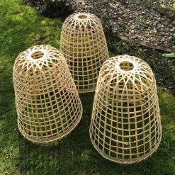 Bamboo Bell Cloche & Garden Plant Protection Cover - Large 11 Bamboo Bell Cloche & Garden Plant Protection Cover - Large -Orchard Lane Shop Bamboo20Cloche20pk203201000x100020992kb