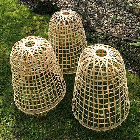 Bamboo Bell Cloche & Garden Plant Protection Cover - Large 7 Bamboo Bell Cloche & Garden Plant Protection Cover - Large - Image 5