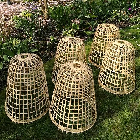 Bamboo Bell Cloche & Garden Plant Protection Cover - Large 5 Bamboo Bell Cloche & Garden Plant Protection Cover - Large - Image 3