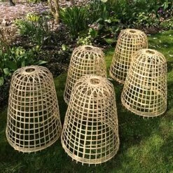 Bamboo Bell Cloche & Garden Plant Protection Cover - Small 12 Bamboo Bell Cloche & Garden Plant Protection Cover - Small -Orchard Lane Shop Bamboo20Cloche20pk205201000x100020916kb2