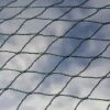 Bird Block Soft Bird Mesh Netting For Fruit Veg & Plants - 8m Wide -Orchard Lane Shop Bird20Net201000x100020880kb2