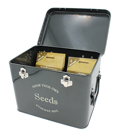 Black Seed Tin 4 Black Seed Tin - Image 2