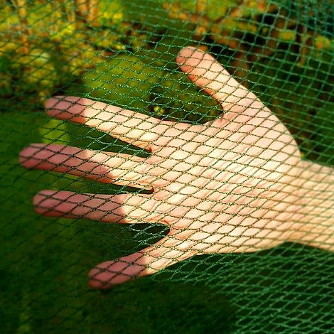 Soft Butterfly Mesh Netting For Cabbages Brassicas & Plants - 8m Wide 4 Soft Butterfly Mesh Netting For Cabbages Brassicas & Plants - 8m Wide - Image 2