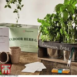 Chalk Board Herb Garden Gift Set - Gift -Orchard Lane Shop CHAL KC5963 C