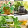 Botanical Infusions Plants - Collection -Orchard Lane Shop Collage herb
