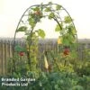 Circular Plant Growing Frame -Orchard Lane Shop FRAM LONDONEYE S46658