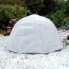 Frost Brolly Pest & Winter Protection Plant Umbrella Dome -Orchard Lane Shop FROSTBROLLY20800x80020826kb1