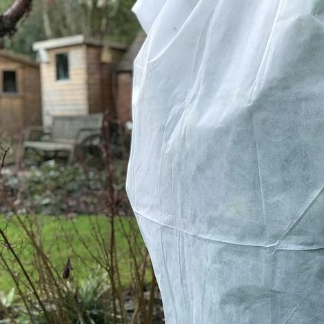 Ultimate Protection 50GSM Frost Fleece Plant Jacket - 2m Wide X 2.5m High 5 Ultimate Protection 50GSM Frost Fleece Plant Jacket - 2m Wide X 2.5m High - Image 3