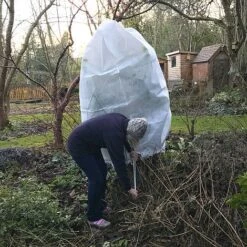 Ultimate Protection 50GSM Frost Fleece Plant Jacket - 1.6m Wide X 2m High -Orchard Lane Shop Fleece20Cover201000x100020858kb2