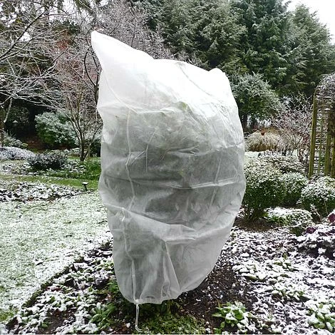 Ultimate Protection 50GSM Frost Fleece Plant Jacket - 2m Wide X 2.5m High 7 Ultimate Protection 50GSM Frost Fleece Plant Jacket - 2m Wide X 2.5m High - Image 5