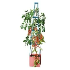 Garden Grow Self Watering Tomato Tower -Orchard Lane Shop G2202 4 Tier Self Watering Tomato Tower CO with toms 2000x2000 1