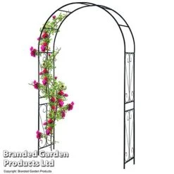 Garden Gear 2.2M Metal Garden Arch -Orchard Lane Shop GARD ARCHSWIRL T47919