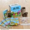 Mr Men Seed Grow Flower Kit