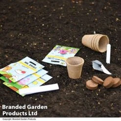 Mr Men Seed Grow Flower Kit -Orchard Lane Shop GKIT LITTLEMIS T49095