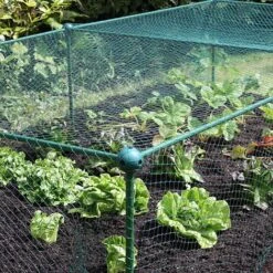 Build-a-Cage Modular Fruit & Vegetable Cage Kit - 0.625m High With Bird Mesh -Orchard Lane Shop GLD 0.625PIC5