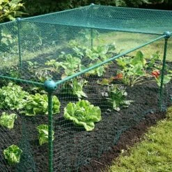 Build-a-Cage Modular Fruit & Vegetable Cage Kit - 0.625m High With Bird Mesh -Orchard Lane Shop GLD 0.625PIC6