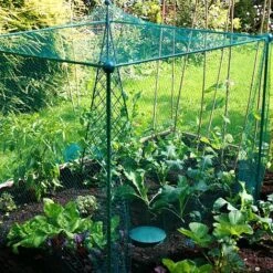 Build-a-Cage Modular Fruit & Vegetable Cage Kit - 1.25m High With Butterfly Mesh -Orchard Lane Shop GLD 1.25PIC2