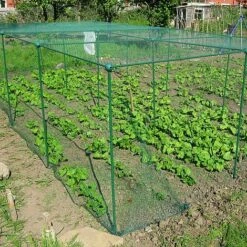 Build-a-Cage Modular Fruit & Vegetable Cage Kit - 1.25m High With Butterfly Mesh -Orchard Lane Shop GLD 1.25PIC3