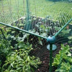 Build-a-Cage Modular Fruit & Vegetable Cage Kit - 1.25m High With Bird Mesh -Orchard Lane Shop GLD 1.25PIC4 1