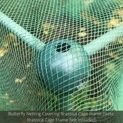 Soft Butterfly Mesh Netting For Cabbages Brassicas & Plants - 6m Wide -Orchard Lane Shop GLD20BUILD20A20CAGE20PIC20100020x100020850kb1