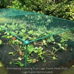 Bird Block Soft Bird Mesh Netting For Fruit Veg & Plants - 4m Wide -Orchard Lane Shop GLD20Build20a20Cage201000x100020840kb