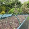 Garden Cloche Hoops For Netting Plant Protection & Support (0.85 W X 0.35m H) -Orchard Lane Shop GPH20 20GARDEN20HOOPS201000X100020986KB
