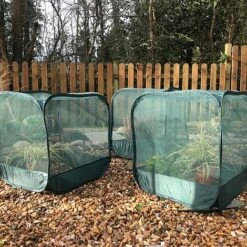 MiniPop Pop-Up Mini Plant & Seedling Cover - 50x50x50cm 10 MiniPop Pop-Up Mini Plant & Seedling Cover - 50x50x50cm -Orchard Lane Shop GPN050 01P 1000x1000 1