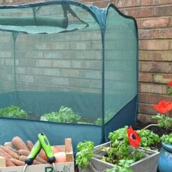 Pop Up Strawberry & Salad Fruit Cage Plant Cover -Orchard Lane Shop GPN100 02PIC5