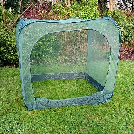 Pop Up Cabbage & Brassica Vegetable Cage Plant Cover 4 Pop Up Cabbage & Brassica Vegetable Cage Plant Cover - Image 2