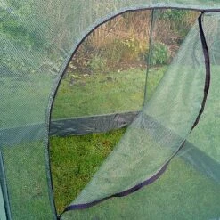 Pop Up Cabbage & Brassica Vegetable Cage Plant Cover 10 Pop Up Cabbage & Brassica Vegetable Cage Plant Cover -Orchard Lane Shop GPN100 05PIC2