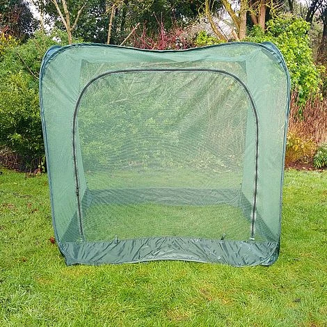 Pop Up Cabbage & Brassica Vegetable Cage Plant Cover 3 Pop Up Cabbage & Brassica Vegetable Cage Plant Cover