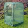 Pop Up Raspberry Fruit Cage & Plant Cover -Orchard Lane Shop GPN100 08PIC1