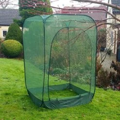 Pop Up Raspberry Fruit Cage & Plant Cover 10 Pop Up Raspberry Fruit Cage & Plant Cover -Orchard Lane Shop GPN100 08PIC3