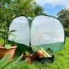 Pop Up Insect Net Fruit Cage & Vegetable Protection Cover -Orchard Lane Shop GPN100 092020125 09201000X100020836KB