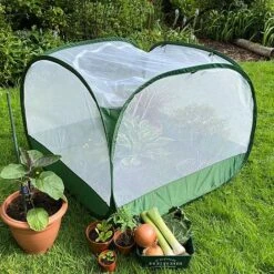 Pop Up Insect Net Fruit Cage & Vegetable Protection Cover -Orchard Lane Shop GPN100 092020125 09201000X100020847KB