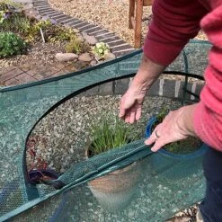 Pop-Up Garden Plant Cover For Pots Planters & Grow Bag Crops -Orchard Lane Shop GPN100 15201000X100020946KB