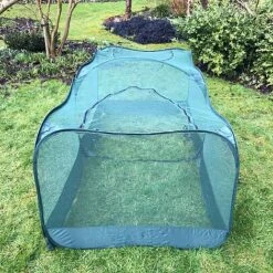 Giant Pop Up Fruit Cage & Plant Protection Cover 10 Giant Pop Up Fruit Cage & Plant Protection Cover -Orchard Lane Shop GPN100 50PIC1