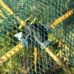 Bamboo Cane & Plant Stick Connector Balls - Pk 8 -Orchard Lane Shop GSK2025PIC2