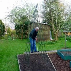 Easy Grow Runner Bean Frame & Climbing Plant Support Trellis - 0.75 X 1.2 X 2.4m H -Orchard Lane Shop GSK2156PIC3
