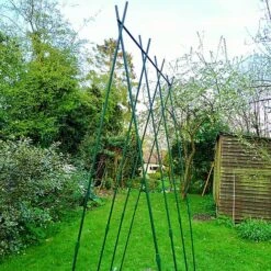 Easy Grow Runner Bean Frame & Climbing Plant Support Trellis - 0.75 X 1.2 X 2.4m H -Orchard Lane Shop GSK2156PIC4