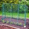 Easy Grow Pea Frame & Climbing Plant Support Trellis - 0.75 X 1.2 X 1m H -Orchard Lane Shop GSK2210PIC1