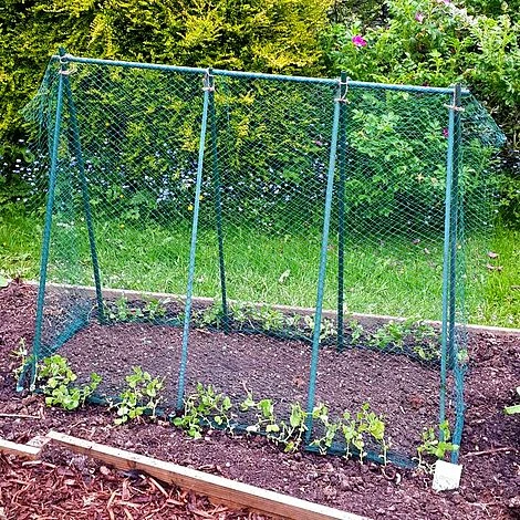 Easy Grow Pea Frame & Climbing Plant Support Trellis - 0.75 X 1.2 X 1m H 3 Easy Grow Pea Frame & Climbing Plant Support Trellis - 0.75 X 1.2 X 1m H