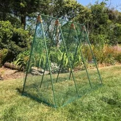 Pea Master Heavy Duty Pea & Climbing Plant Support Frame - 0.75 X 1.2 X 1.2m H -Orchard Lane Shop GSK2259HDPIC5