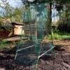 Cucumber Trellis & Pea Support Frame For Heavy Climbing Plants -Orchard Lane Shop GSK2284HD201000x1000201MB
